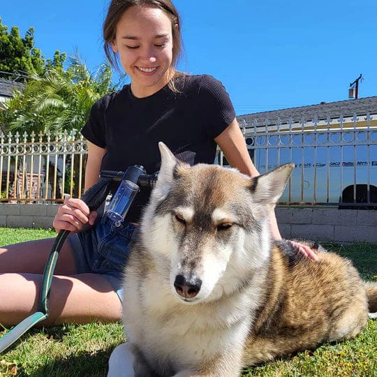Pommeau de Douche Intelligent Canin