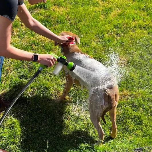 Pommeau de Douche Intelligent Canin
